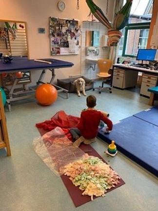Therapieraum mit Klientem und Hund