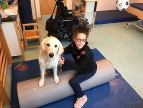 Hund mit Klient auf einer Therapierolle