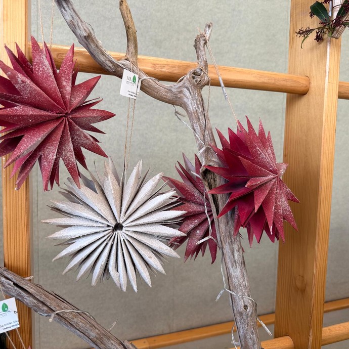 Papiersterne (vergrößerte Bildansicht wird geöffnet)